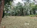 Property for sale at Thamarassery