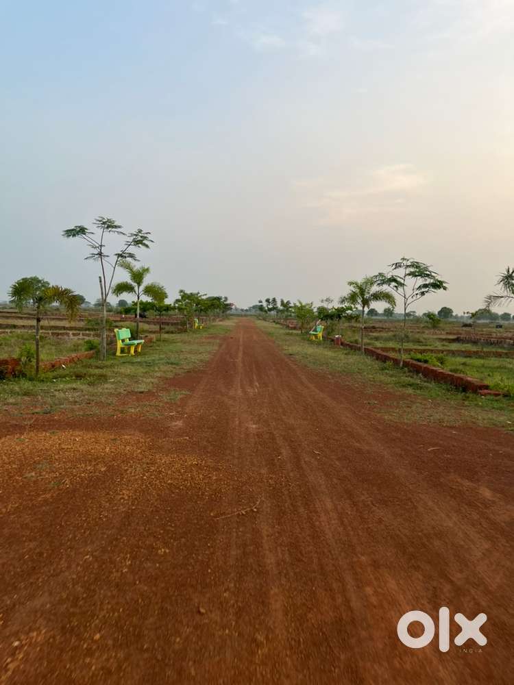 Dn mall backside plot