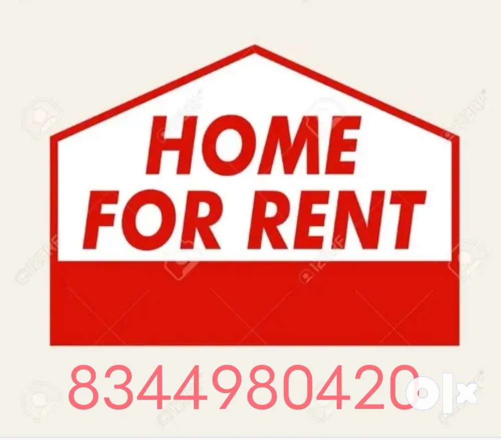 Rent home for low budget
