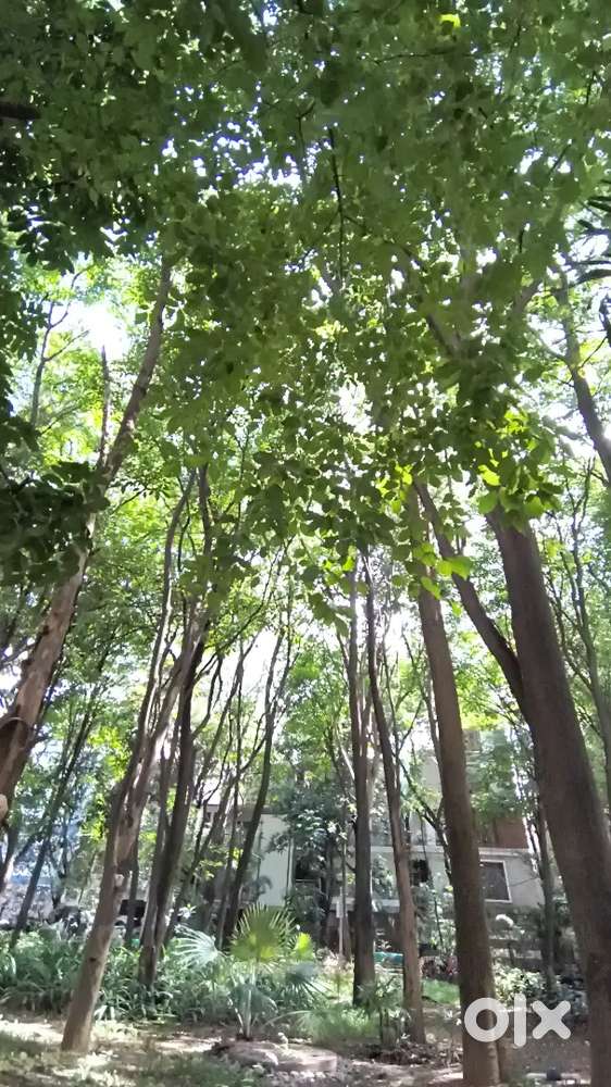 Cook for a food truck.