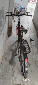 Avon cycle