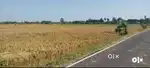 திருக்கண்ணமங்கை to எட்டியலூர் Road Facing
