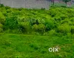 2152 sq ft plot in sector G6, ANSAL API, Gomti Nagar.