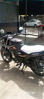 Shine. BS-6  model 2022