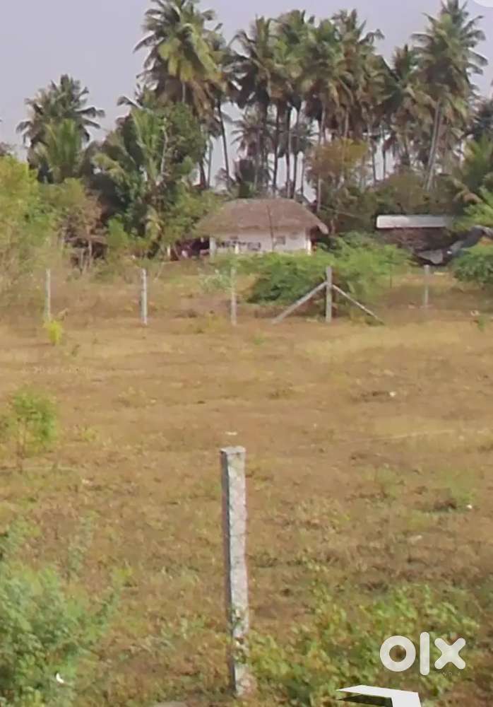 Latchathoppu    Patta land for sale