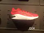 Puma and Reebox shoes and T shirt @  high discount