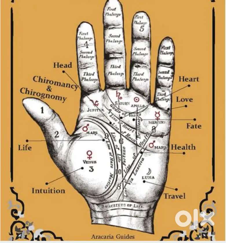 Kundali Analysis / Palmistry/ Stone /gemstone