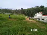 1 Acre 60 cent Land for sale Opposite Kinfra Park Kunnamthanam