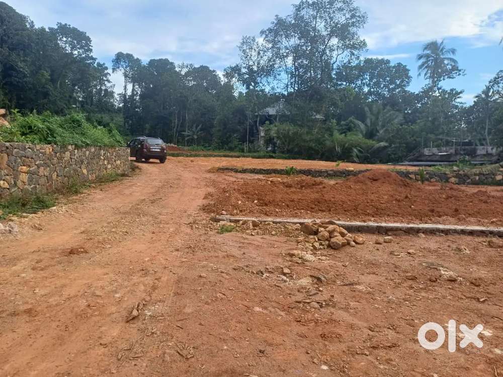 പാലാ മരങ്ങാട്ടുപള്ളി റോഡിൽ ഹൗസ് പ്ലോട്ടുകൾ വിൽപ്പനയ്ക്ക്.