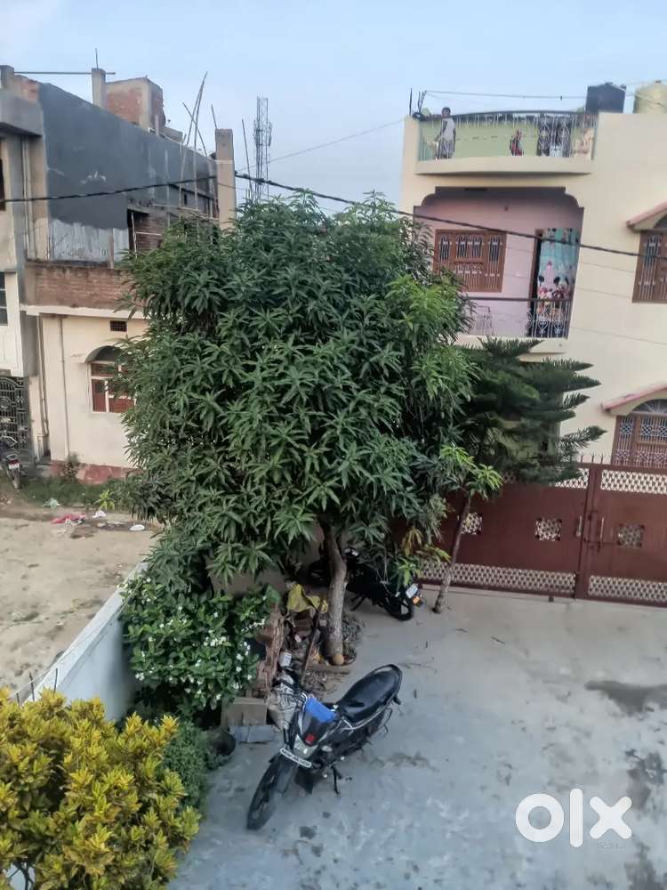 Single Room for Family