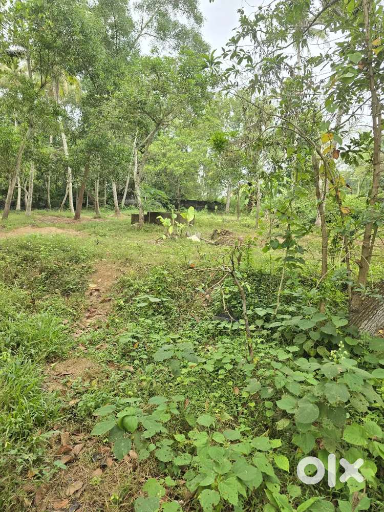 65CENT PLOT FOR SALE KAZHAKKOOTTAM ANDOORKONAM