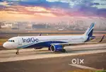 Great opportunity for Airport jobs ground staff /ticketing /cabin crew