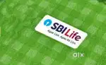 Development manager