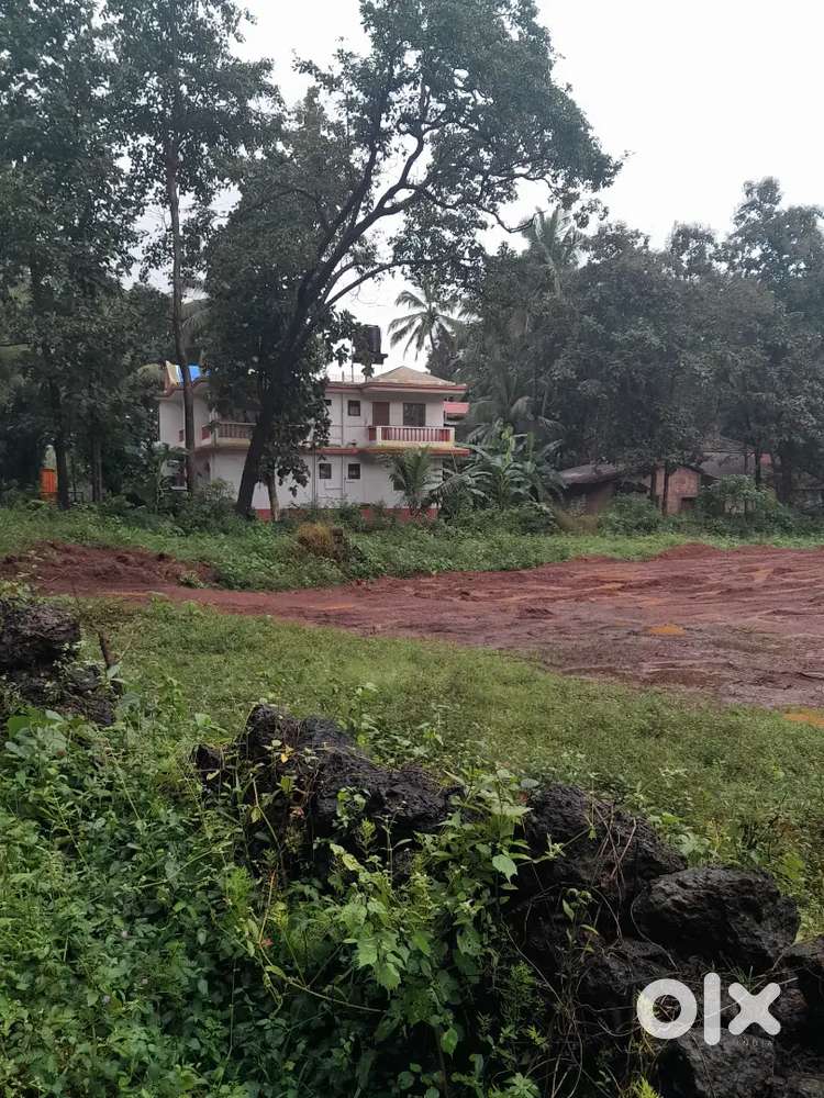 PLOT AT KADAMBA PLATEAU