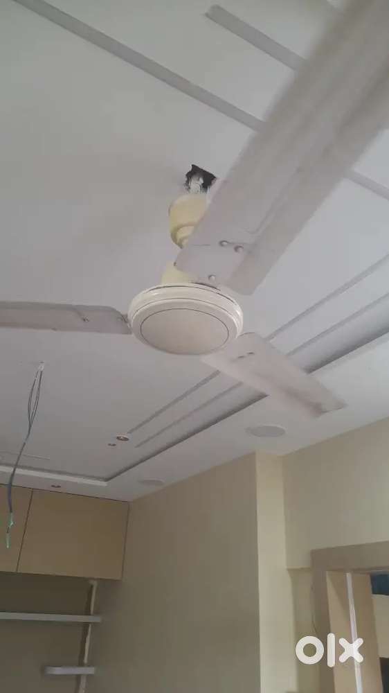 Ceiling Fan