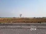 PLOT SALE SANTOSHI NAGAR