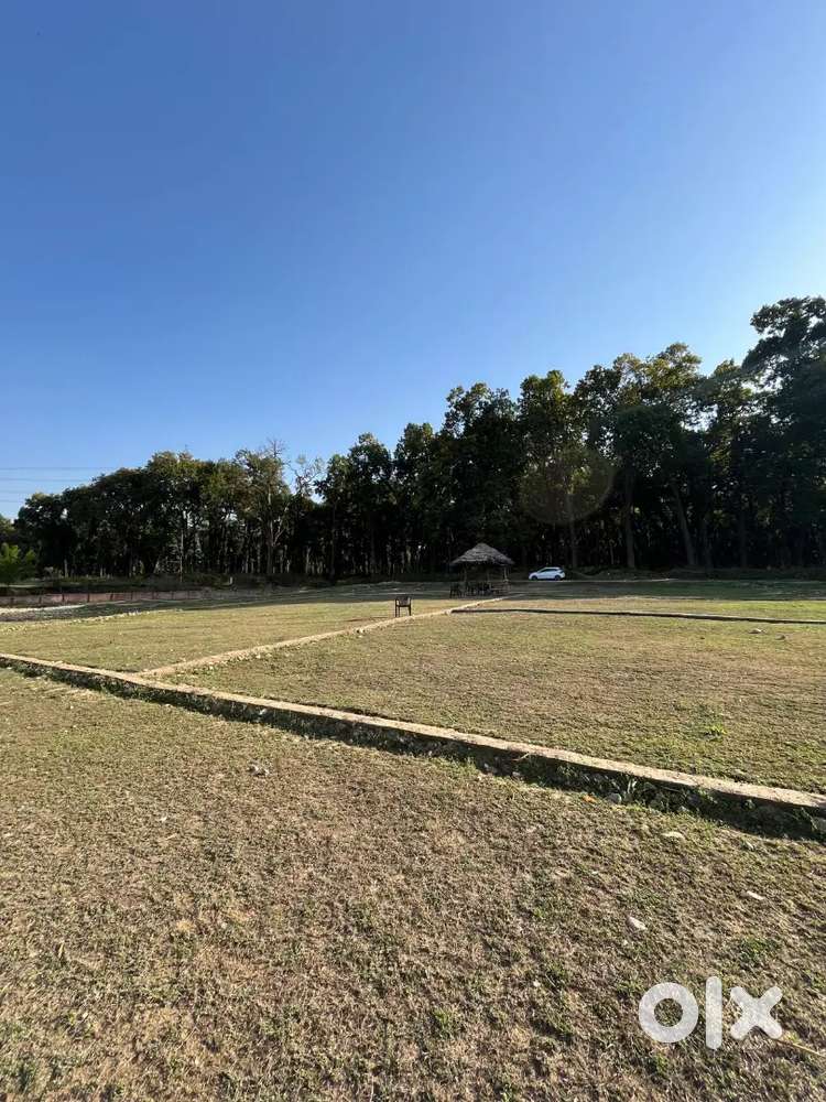 Plot for sale Life time forest view plotting project only 13500/-sq.yd