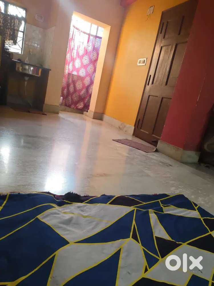 Need a female roommate. Near Basdroni Brahampur