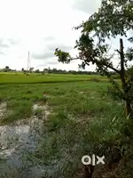 Plot for sale