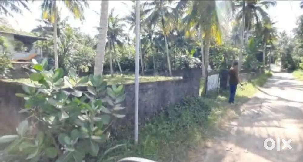 6 cent land for sale Mannanthala
