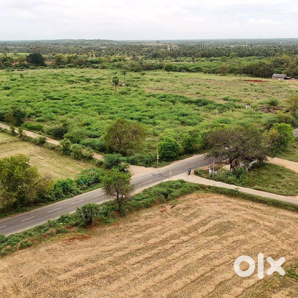 20 ekara good location farming and plants