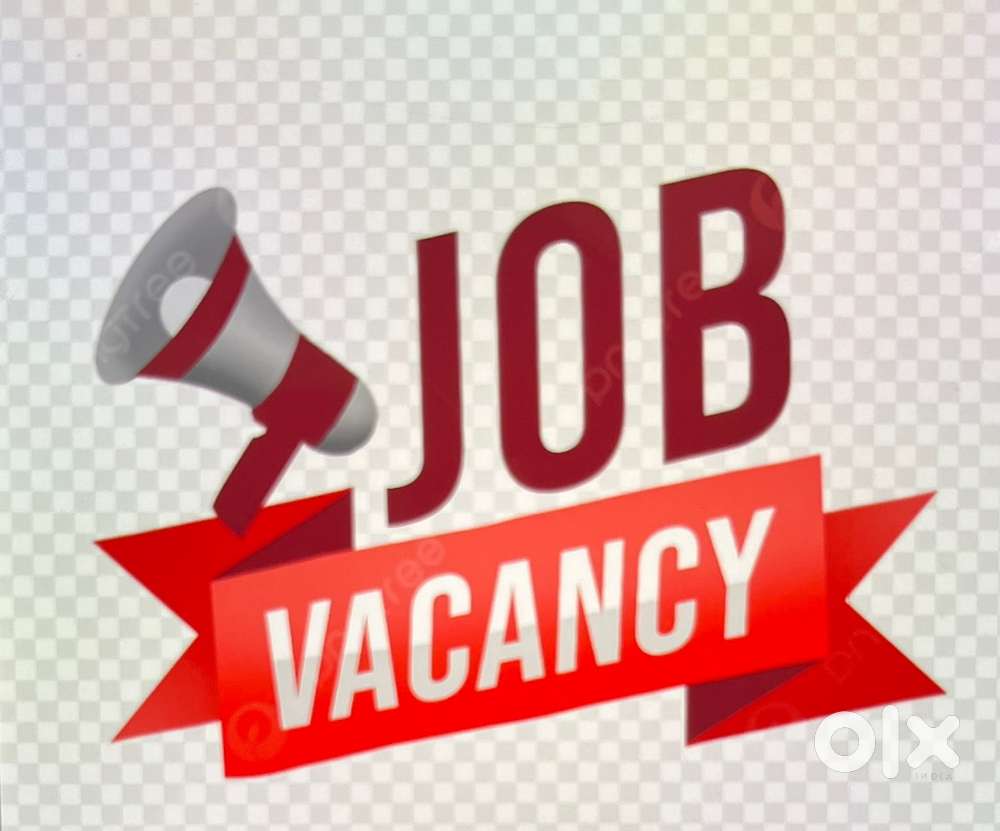 Electrical Project Engineer/Supervisor