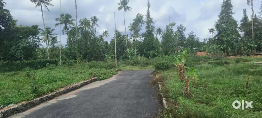 ANGAMALY NEAR THURAVOOR JUNCTION 4,5,6,8,10 CENT