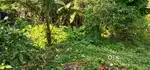 5 katha land sell urgent. Chakdah station 6-8 minutes walking distance