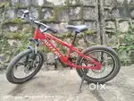 Avitri bike with double disc brakes