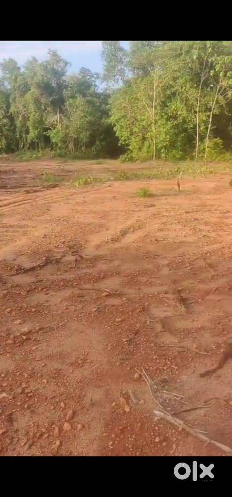 Land for sale in the Residential Area near Kotekar, Mangalore