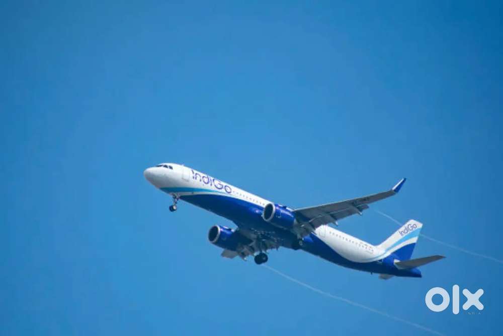 Urgent hiring for ground staff jobs in fresher Candidates