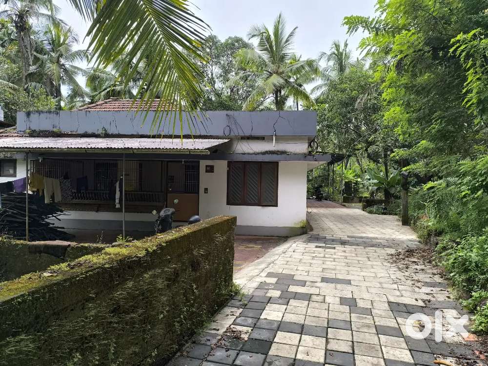 Land for sale at payyanur.