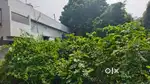 150sq yards Bommuru, Rajahmundry Plot for sale west facing,