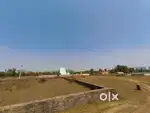 4.5 lakh katha