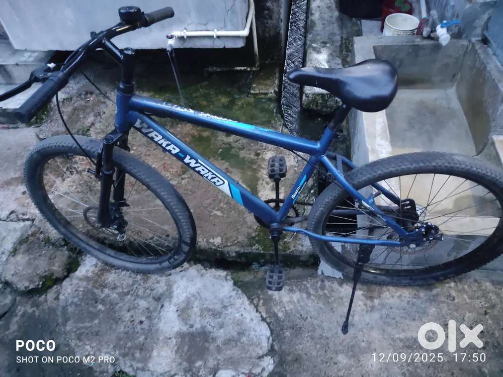 Avon cycle