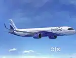 381 vacancy available for indigo Airlines jobs nearest airport