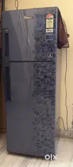 Whirlpool double door (262 litres)