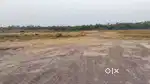 1/2 Acer farm land at Sarona 2km from Highway