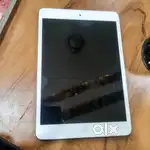 iPad mini 2