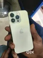 256 gb cashify box