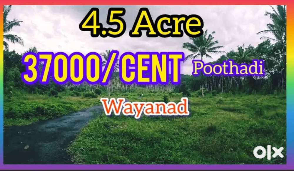 4.5 Acre Land for sale in Wayanad