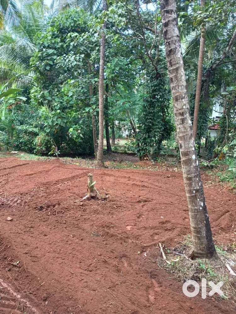 23 Cents Land for sale in Edappal Kololamba Malappuram