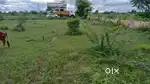 Advaita School back Side, Madhav Nagar, Parbhani