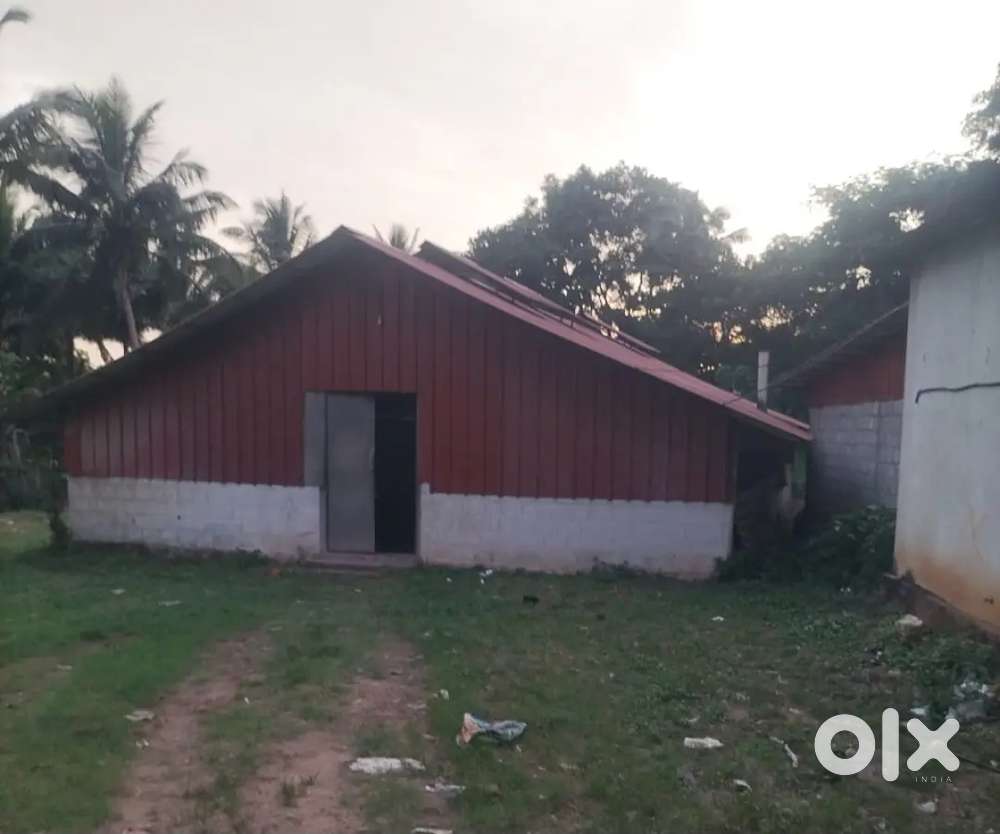 GODOWN / INDUSTRIAL SHED FOR RENT 3400 SQFT പാലക്കാട്‌