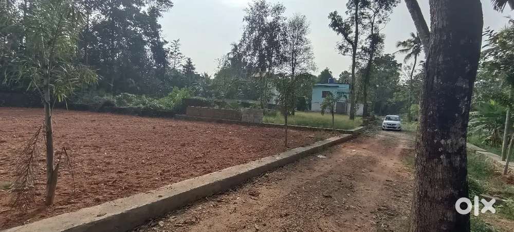 ആലുവ ദേശം കാപ്രശ്ശേരി പള്ളിക്ക് സമീപം 4 സെൻ്റ് മുതൽ NH 2 KM