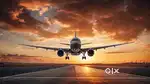 Now hiring for indigo airlines apply fast