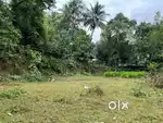 Residential Plot for Sale in Kaithapoyil Town- Prime location