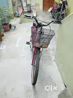 Ladybird cycle