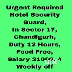 5 Star Hotel Security Guard Job Chandigarh 29