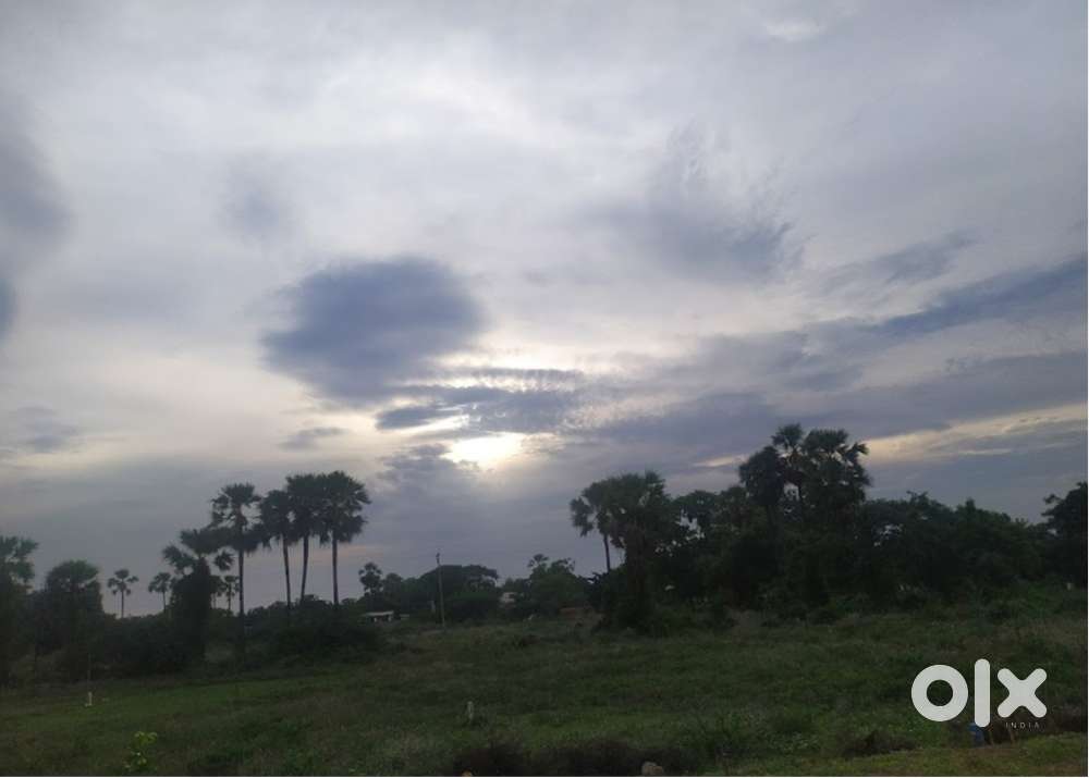 Site for Sale in Kanteru Near Mangalagiri (Guntur)